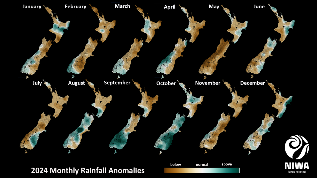 2024 Monthly Rainfall Anomalies for New Zealand showing below normal (brown), normal (beige), and above normal (teal) rainfall patterns across 12 months